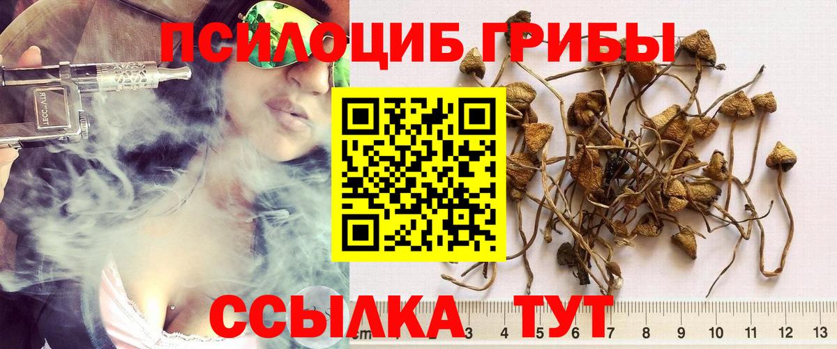 Псилоцибиновые грибы прущие грибы  Галлюциногенные грибы ЛСД  Вход с VPN  Спасск-Дальний 