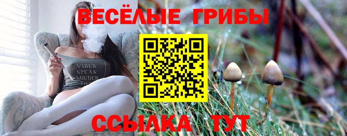 Галлюциногенные грибы мухоморы Спасск-Дальний